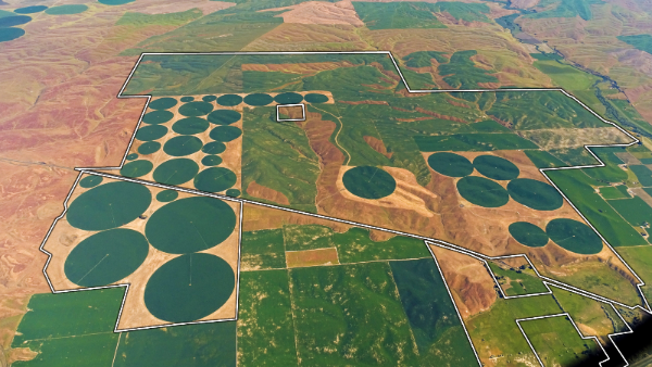 Aerial view of farmland in Walla Walla, Washington Aerial view of farmland in Walla Walla, Washington