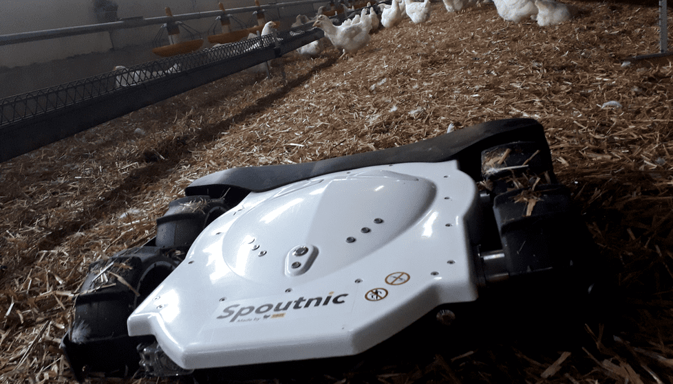 El robot Spoutnic en una ganaderia