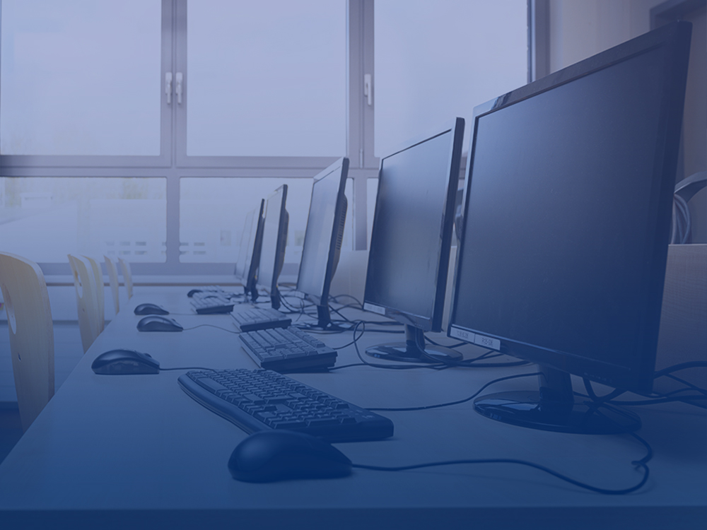 image column 2 widget_1610134444358