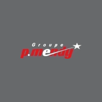 Logo de l'entreprise P. Mendy