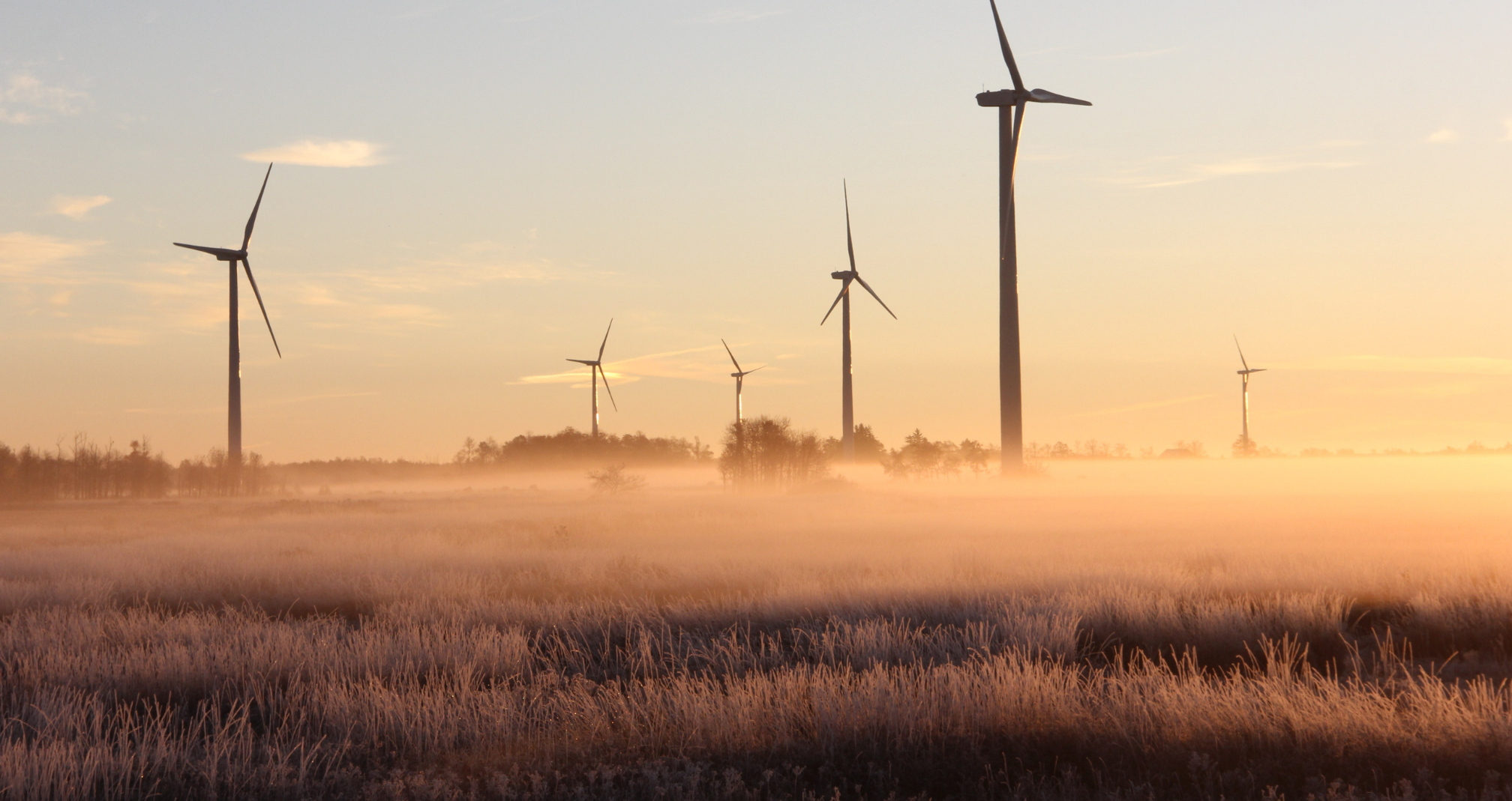 Image d'un champs avec des éoliennes