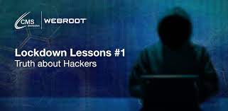 webroot the truth about hackers