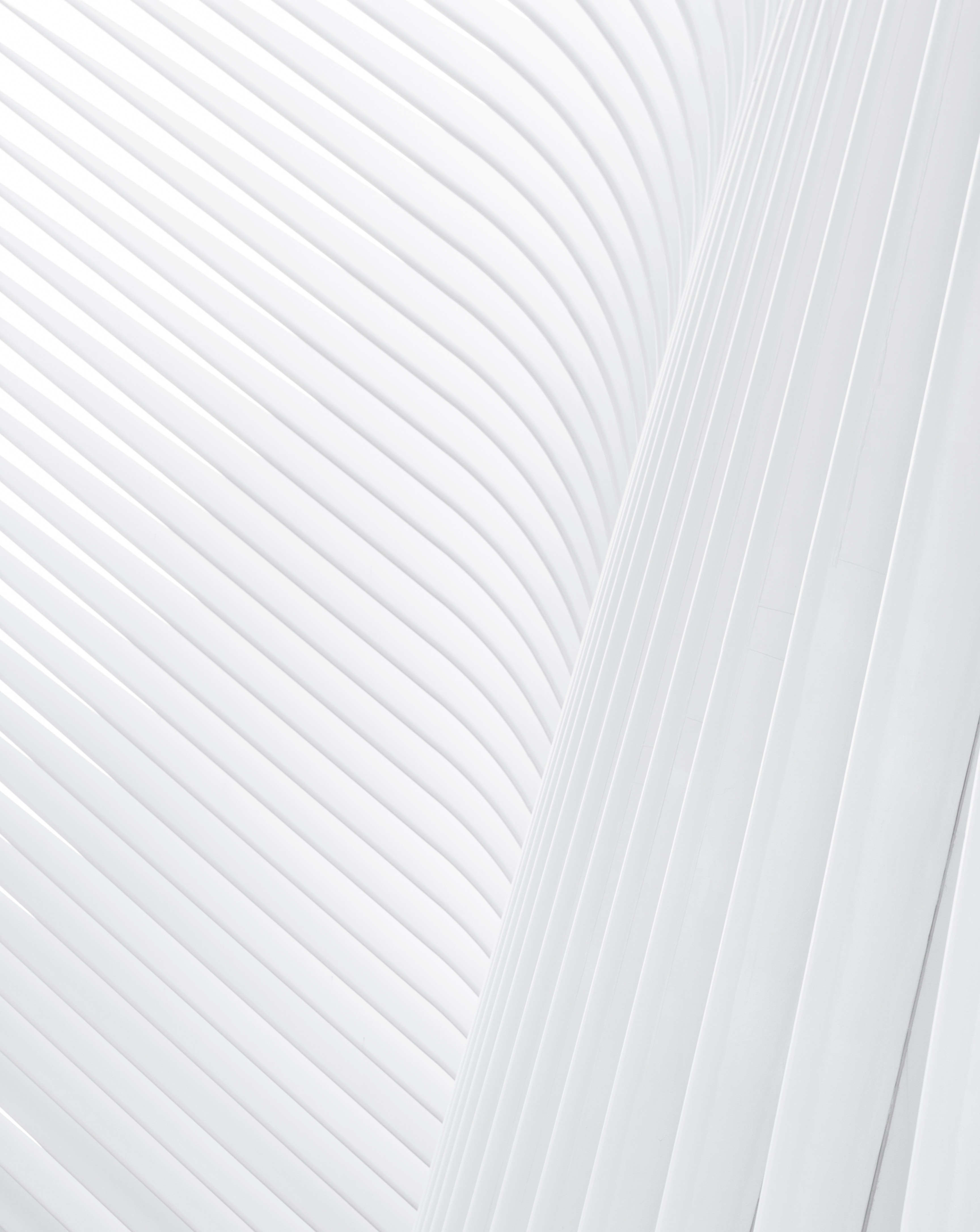 christian-perner-329584-unsplash-1